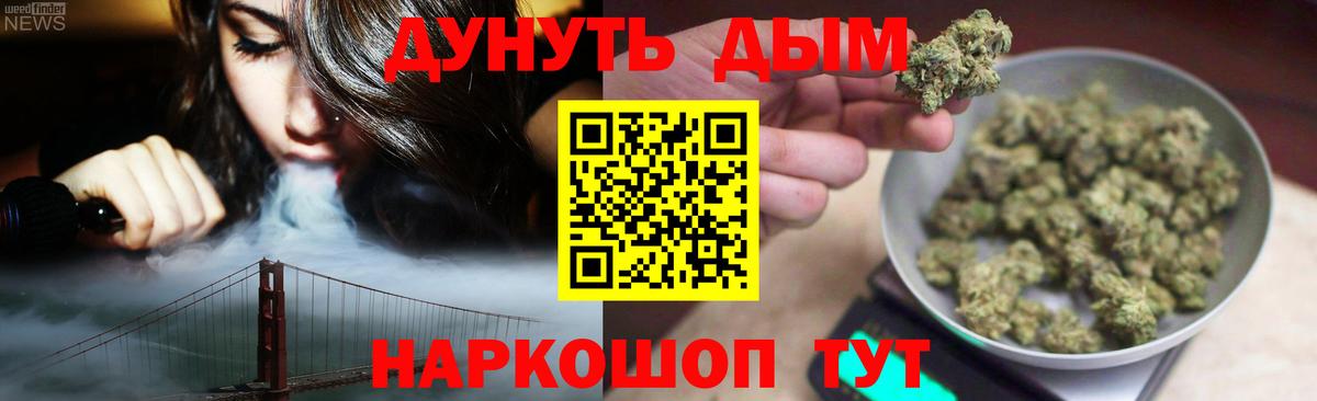Конопля план Курчатов